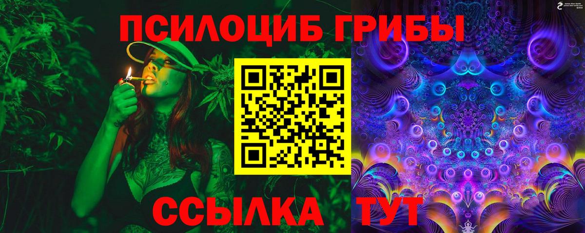 Тулун  Псилоцибиновые грибы мицелий  Вход с VPN 